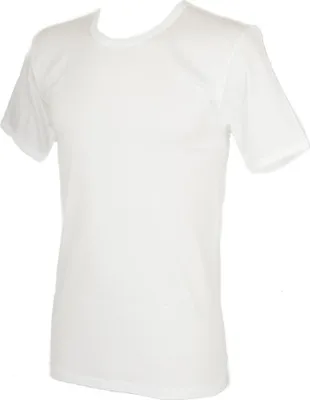 Immagine prodotto di T-shirt camiciola canottiera uomo cotone filo di Scozia manica corta girocollo RAGNO articolo 002797, 5-QUINTA (EU L - F 4 - USA M - GB 36), Cotone 100%