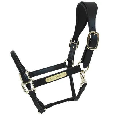 Produktbild von Kentucky Horsewear Lederhalfter Anatomic Schwarz Full
