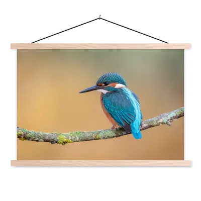 Produktbild von MuchoWow® Textilposter Vogel - Eisvogel - Tiere - Zweig 120x80 cm mit holzfarbenen Rahmen - Aufhängeset