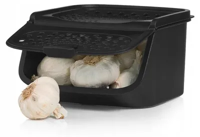 Produktbild von Tupperware Knoblauchbehälter "Spiżarenka" Schwarz