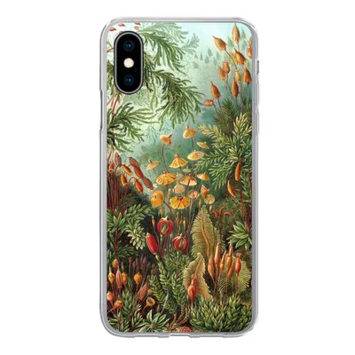 Produktbild von MuchoWow® Handyhülle Schutzhülle Hülle für iPhone X Muscinae - Kunst - Alte Meister Silikon Softcase Handy Hülle - Handyhülle