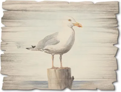 Produktbild von ARTland Holzbild Vintage Möwe Größe: 40x30 cm