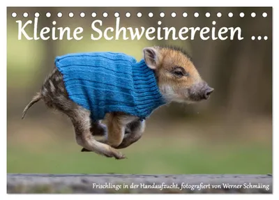 Produktbild von Kleine Schweinereien (Tischkalender 2027 DIN A5 quer), CALVENDO Monatskalender