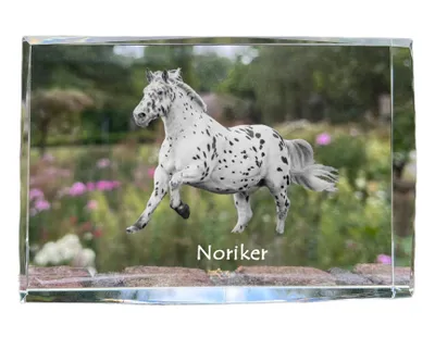 Zdjęcie produktu dla Noriker - kryształ ze zdjęciem konia, zdjęcie w szkle, nowoczesna ekspozycja zdjęcia marki Art-Dog