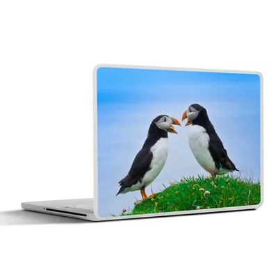 Produktbild von MuchoWow® Laptop Aufkleber Sticker Cover Tiere - Vögel - Papageientaucher 25x18 cm - Laptop-Deko