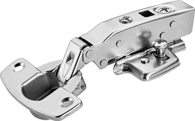 A close-up studio shot of a single metal hinge against a white background.