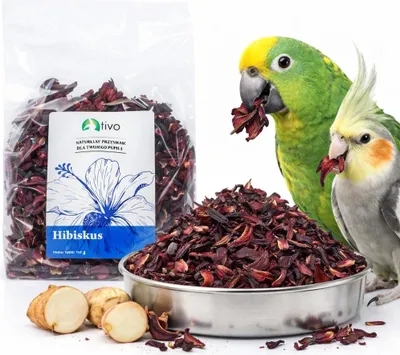 Zdjęcie produktu dla Płatki hibiskusa dla papug - naturalny dodatek roślinny | 100 g