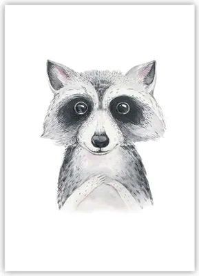 Produktbild von Poster - Poster ohne Rahmen - Waschbär Bild Kinder - 50x70 cm - Wand Bild - Wanddeko - Wandbilder - Kunstposter - Wandposter - Bilder - Kunstdruck - Wanddekoration - Wandbild - P2XPA50x70-4607