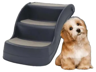 Produktbild von Hundetreppe, faltbares Design, rutschfeste Stufen, armeegrün