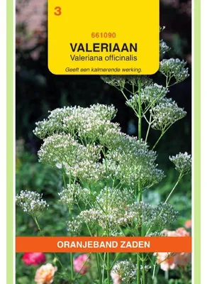 Imagen del producto de Oranjeband: Semillas de valeriana, hierbas - 1 paquete de semillas