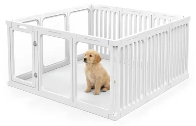 Immagine prodotto di Recinto per cani - Acrilico - 60 cm - 12 pannelli - Trasparente e bianco