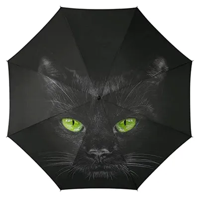 Produktbild von Regenschirm mit Automatik Schwarz Katze