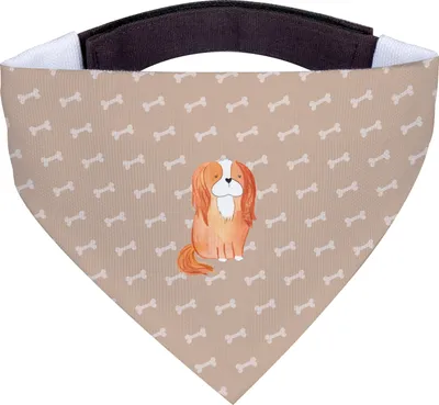 Produktbild von Mr. & Mrs. Panda Halstuch Hund Hund Cavalier King Charles Spaniel - Hundeglück - Geschenk, Dreieckstuch für Hunde, Schlappohren, Hundehalstuch, Spruch, Sprüche, Tuch