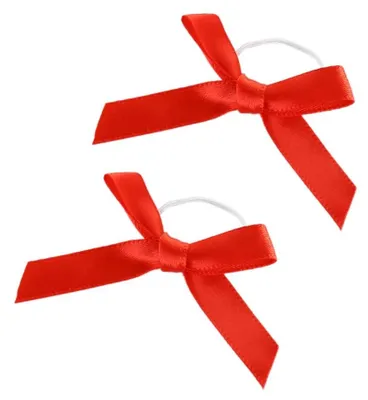 Image de Omgoods - 100 pièces de rubans en satin décoratifs pour cadeaux