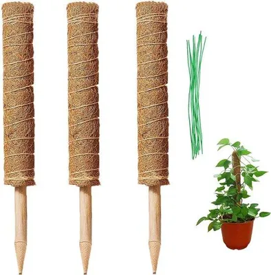 Productafbeelding van Famanu plantensteun, 43 cm - Decoratieve plantenstandaard voor bloempotten