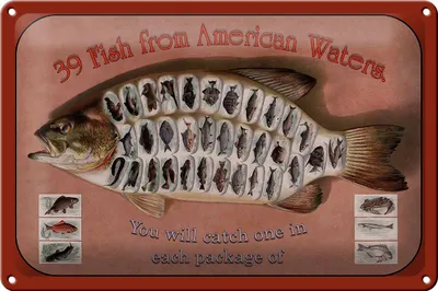 Produktbild von Blechschild Fisch 30x20cm 39 Fish from american Waters