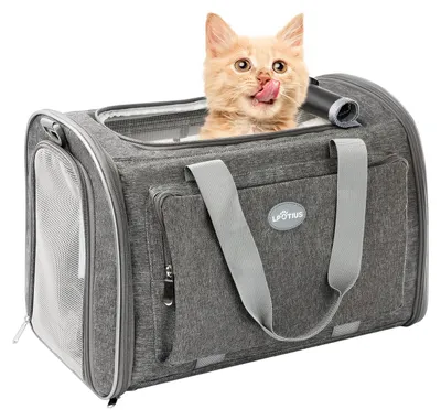 Produktbild von Transporttas für Katzen und Hunde, atmungsaktiv, faltbar, mit verstellbarem Schulterriemen, grau