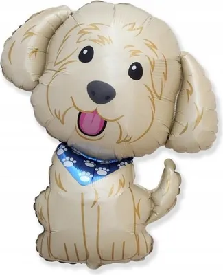 Produktbild von HUND Folienballon COBBERDOG Geburtstagsdeko Ornament
