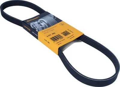 Produktbild von Contitech Keilrippenriemen 5Pk890