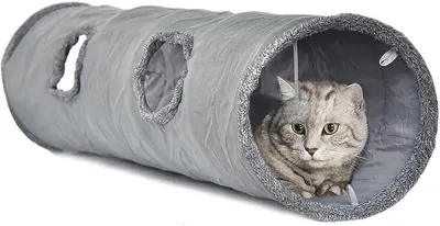 Katzenspielzeug, Hauptbild