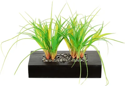 Produktbild von 1x Dekogras 2x im Holzkasten Deko, Blume