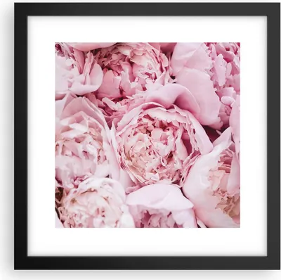 Produktbild von Gerahmtes Poster - Schwarzer Rahmen - Blumenstrauß Blumen Rosa - 30x30 cm - Wand Bild - Wanddeko - Wandbilder - Kunstposter - Wandposter - Bilderrahmen - Bilder - Kunstdruck - P2BAC30x30-5001