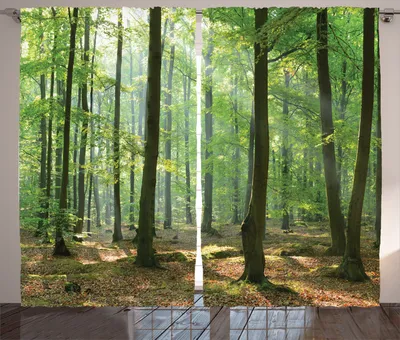 Produktbild von ABAKUHAUS Natur Rustikaler Gardine, Morgen Wald Bauernhaus, Schlafzimmer Kräuselband Vorhang mit Schlaufen und Haken, 280 x 225 cm,
