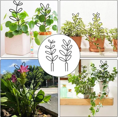 Produktbild von Pflanzenrost für Topfpflanzen - Metallstütze für Zimmerpflanzen, Gartenpflanzenstütze - 2 Stück Kletterhilfe für Pflanzen - Pflanzenstützen für Kletterpflanzen