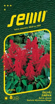 Produktbild von Salbeisamen - Rotkäppchen 0,5g