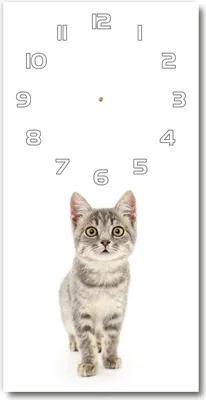 Produktbild von Wanduhr aus Glas – 30x60 cm - Glasbild - Glasuhr - Gehärtetes Glas -Graue Katze