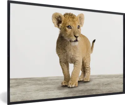Produktbild von MuchoWow® Gerahmtes Poster Löwe - Junge - Kinder - Jungen - Tiere - Mädchen 90x60 cm - Poster mit Schwarzem Bilderrahmen Wandposter Rahmen Foto Bilder - Fotorahmen - Foto-Plakat