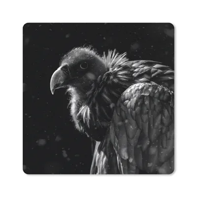 Produktbild von MuchoWow® Mauspad Mousepad Porträt eines Goldgeiers vor schwarzem Hintergrund - schwarz-weiß 30x30 cm - Mousepads - Maus Mat - Pad - Mausunterlage - Gaming