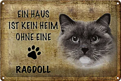 Produktbild von Blechschild Spruch 30x20cm Ragdoll Katze ohne kein Heim
