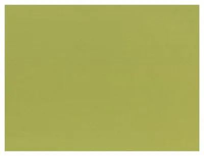 Immagine prodotto di 1000 tovagliette Papstar, carta 30 cm x 40 cm verde oliva 84349 Tovagliette di carta Tovagliette