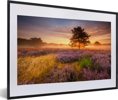 Produktbild von MuchoWow® Gerahmtes Poster Heidelandschaft mit einem Baum 60x40 cm - Poster mit Schwarzem Bilderrahmen Wandposter Rahmen Foto Bilder - Schlafzimmer - Plakat in Rahmen - Drucken