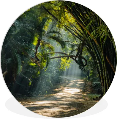 Produktbild von MuchoWow® Rundes Wandbild - Runde Bilder Bambusreihen in Asien Ø 90 cm Kreis Wanddekoration Kunststoff - Wandkreis - Wandschmuck - Wand-Kreis - Wohnzimmer - Bild - Runde - Wanddeko - Dibond - Kunstdrucke