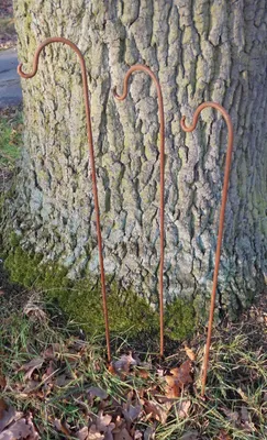 Produktbild von 3er-Set Gartenstab m. Haken Laternenhaken Eisen massiv Rost je 80 cm