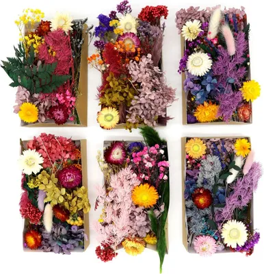 Produktbild von Trockenblumen Set zum Basteln, als Boho Deko und DIY Crafting