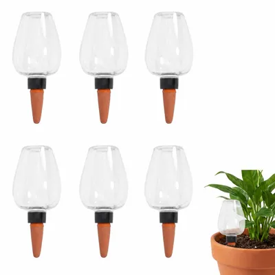Bewässerungskugeln 6er-Set mit Tonkegel, 350 ml, transparent
