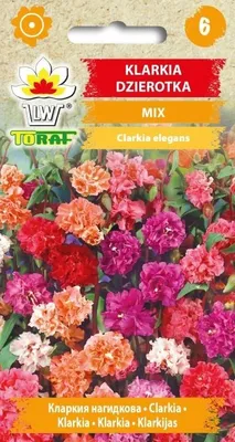 Obrázok produktu pre Clarksia MIX zmes Kvetinové semená - 536 Toraf