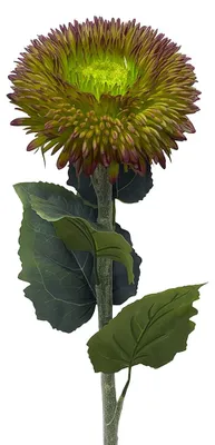 Productafbeelding van Clayre & Eef Kunstbloem Groen, kunststof