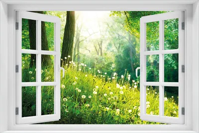 Produktbild von Wallario Poster mit Fenster-Illusion: Pusteblumen im Wald mit einfallenden Sonnenstrahlen, Größe: 61 x 91,5 cm (Maxiposter)