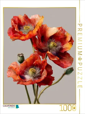 Produktbild von CALVENDO Puzzle Ein Motiv aus dem Kalender Zeitlose Blütenpracht | 1000 Teile Lege-Größe 64x48cm Foto-Puzzle für glückliche Stunden