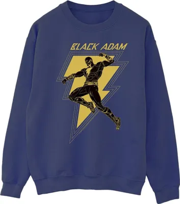 Produktbild von DC Comics - Sweatshirt für Herren BI11174 (S) (Marineblau)