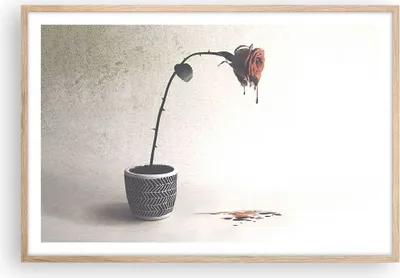 Produktbild von Gerahmtes Poster - Rahmen in heller Eiche - Symbol Rose Leiden - 91,5x61 cm - Wand Bild - Wanddeko - Wandbilder - Kunstposter - Wandposter - Bilderrahmen - Bilder - Kunstdruck - P2NAA91x61-4501
