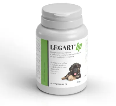Gelenk-Tabletten für Hunde, 60 Stück, mit Glucosamin & Chondroitin