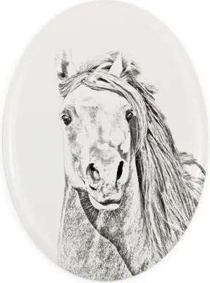 Immagine prodotto di Art-Dog Targa commemorativa in Vetroceramica – Pintabian