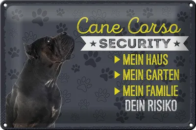 Produktbild von Blechschild Spruch 30x20cm Cane Corso Security dein Risiko