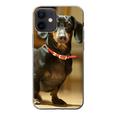 Produktbild von MuchoWow® Handyhülle Schutzhülle Hülle für iPhone 12 Porträt eines schwarzen Dackels Silikon Softcase Handy Hülle - Schutzhülle