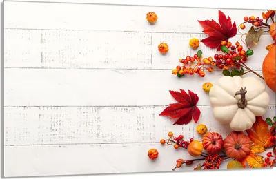 Image de Plaque de recouvrement pour cuisinière 80x52cm en 1 partie Couverture de plaque vitrocéramique Protection contre les éclaboussures, automne bois